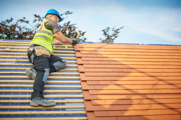 Best Skylight Installation and Repair  in Mission Viejo, CA